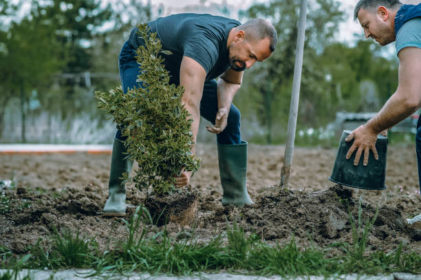 Lawn Irrigation Installation and Maintenance in Crestview, FL